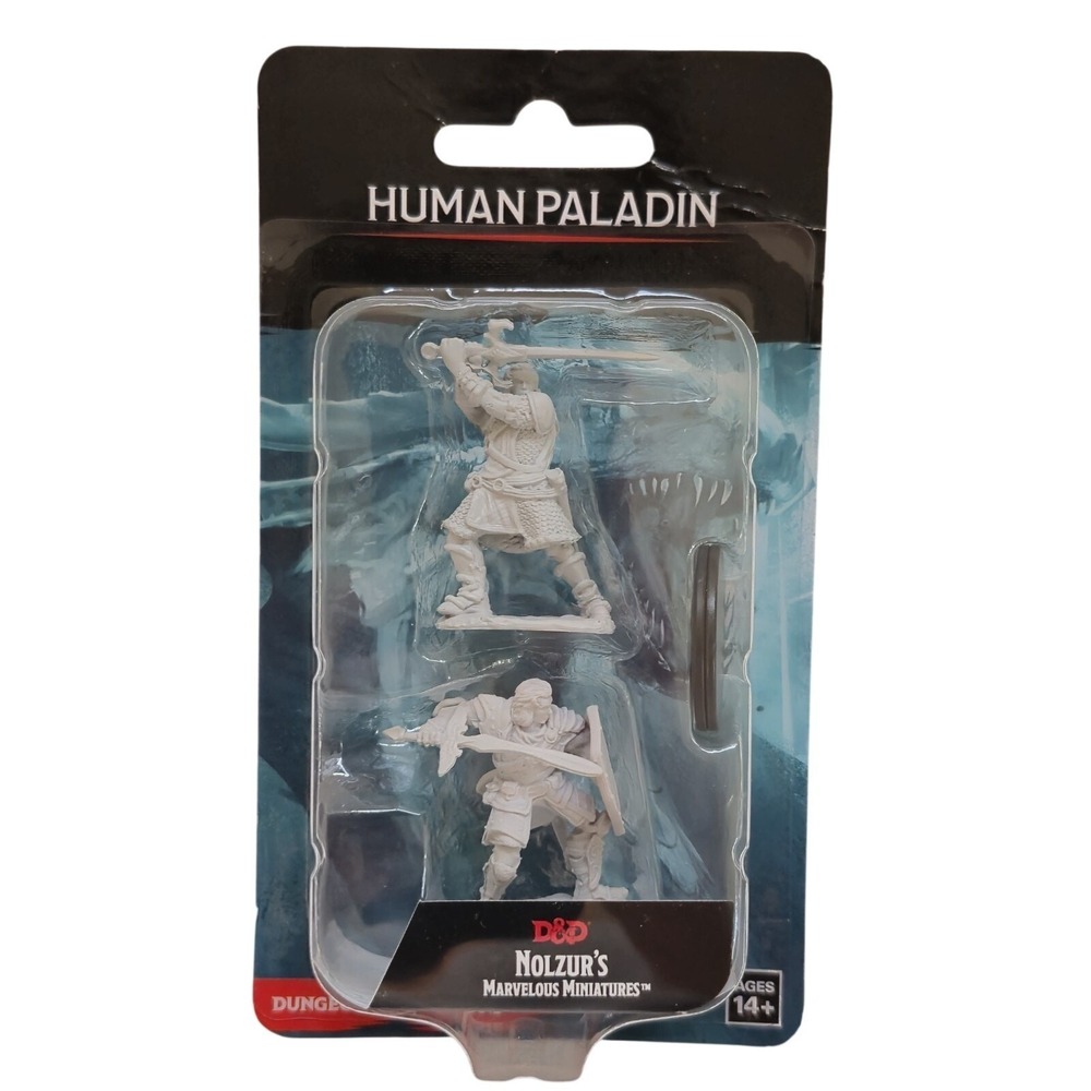 D&D Nolzur's Marvelous Miniatures:‎ Human Paladin Male